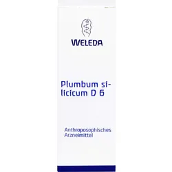 Plumbum Silicicum D6 20 G