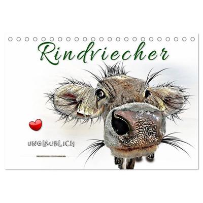 Rindviecher unglaublich (Tischkalender 2027 DIN A5 quer), CALVENDO Monatskalender