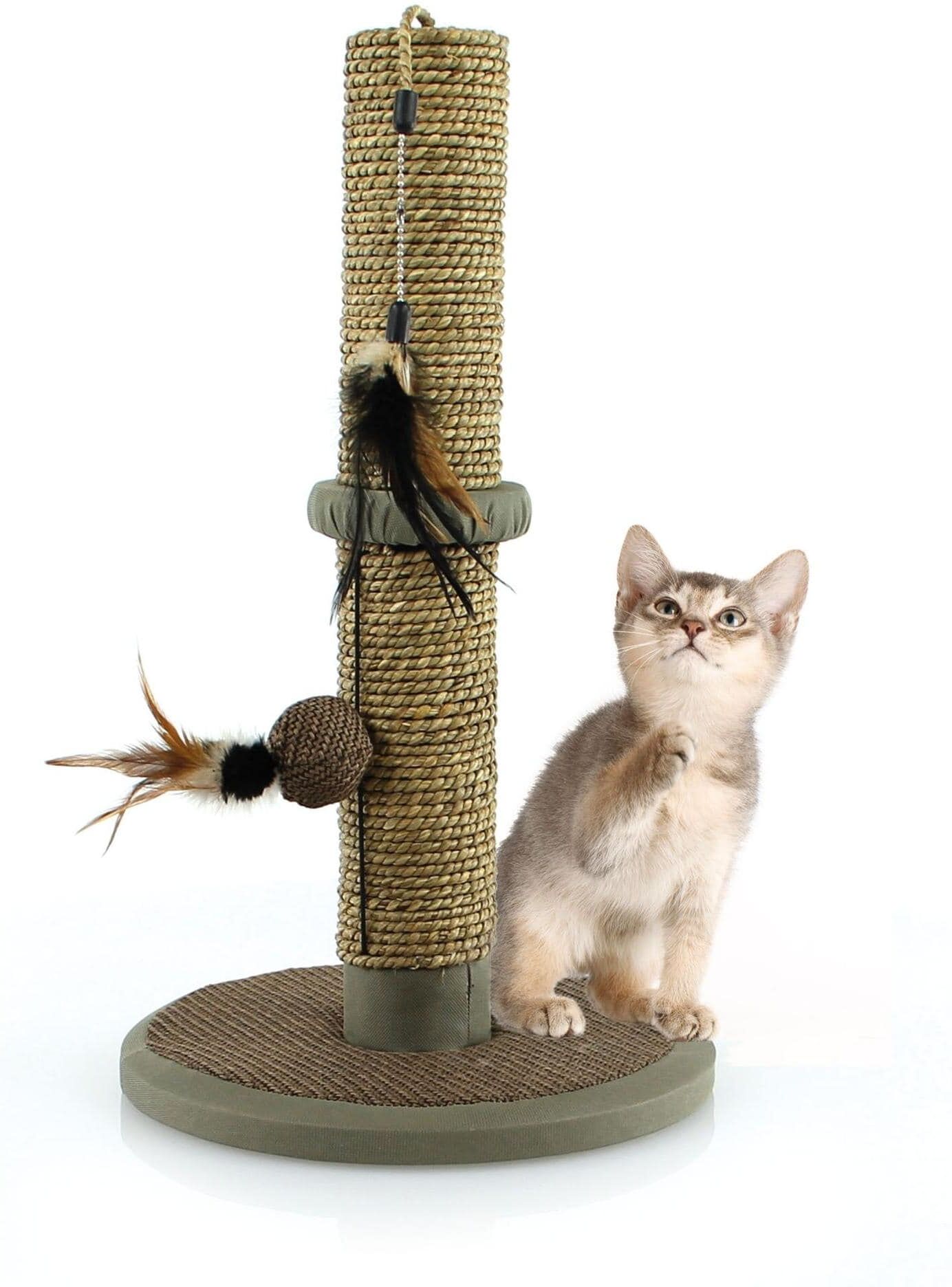 Kratzbrett SWISSPET "Naturo", braun (braun, natur), H:50cm, Sisal, Kratzbretter, Kratzbrett braun, natur B/H/L: 50cm