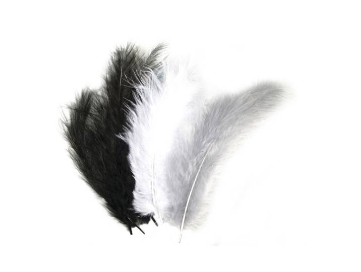 Rayher Flauschfeder-Mischung 10-15 cm 15 Stück