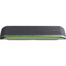 HP Sync 60 Konferenzlautsprecher USB, Bluetooth® Silber 772C2AA