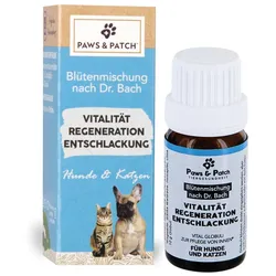 Paws&Patch 10g Blütenmischung Vitalität