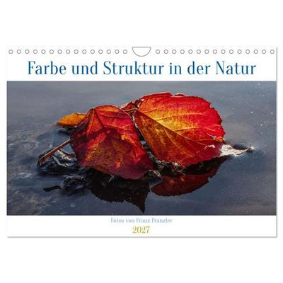 Farbe und Struktur in der Natur (Wandkalender 2027 DIN A4 quer), CALVENDO Monatskalender