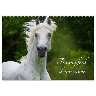 Traumpferd Lipizzaner (Wandkalender 2026 DIN A2 quer), CALVENDO Monatskalender