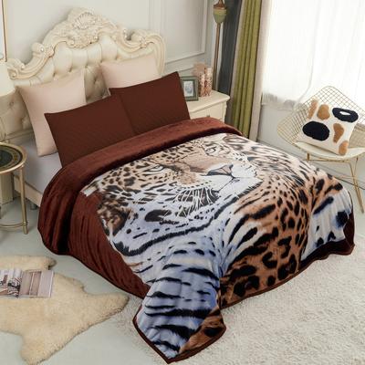 JML Raschel A&B Printed 2-ply Reversible Korean-style Plush Fleece Blanket