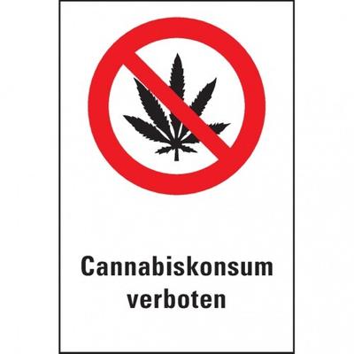 Dreifke® Verbots-Kombischild Cannabiskonsum verboten, praxisbewährt, Folie, 200x300mm