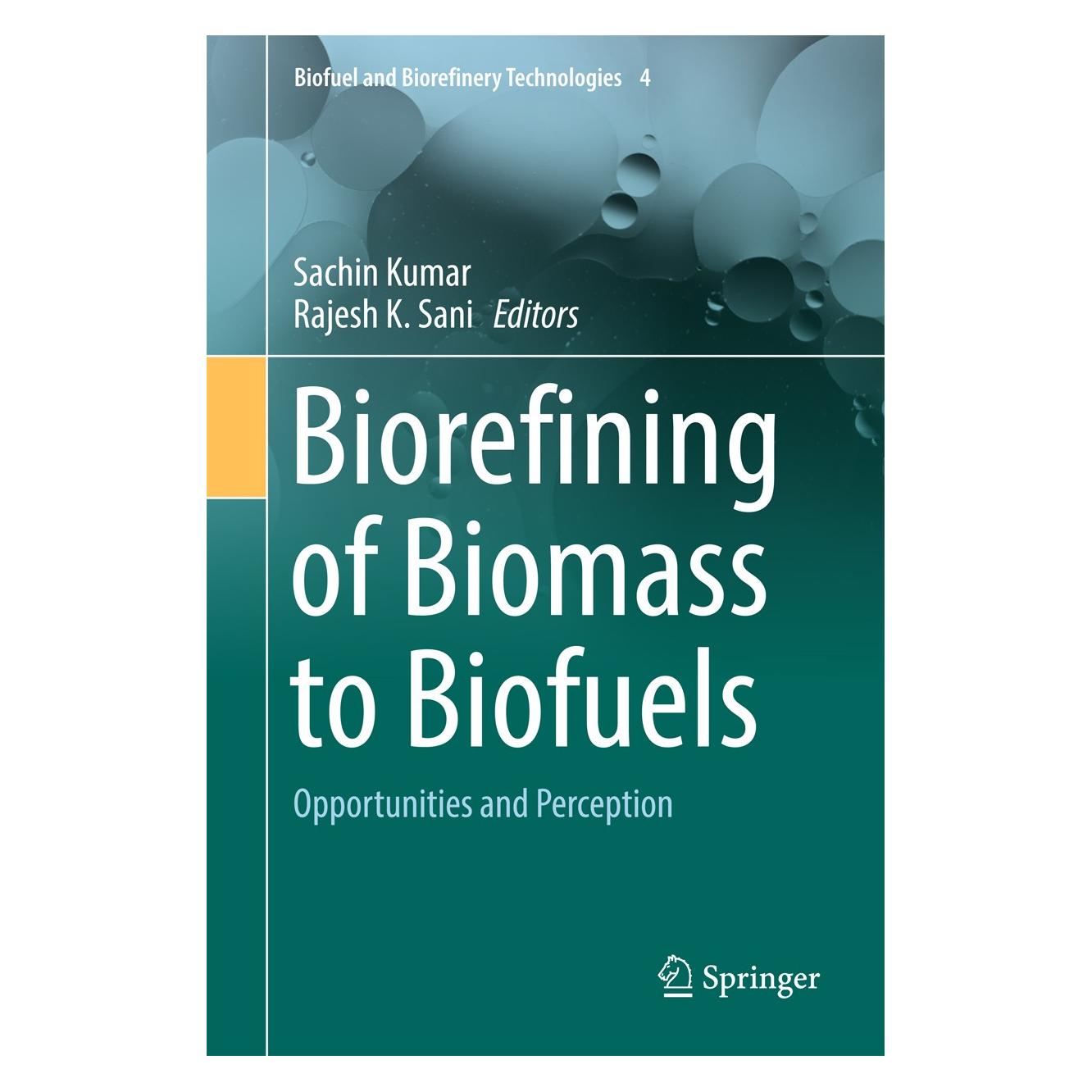 Springer Biorefining of Biomass to Biofuels (Englisch, Hardcover, Rajesh K. Sani, Sachin Kumar) (9783319676777)