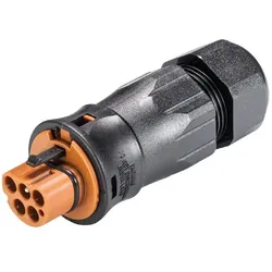 Wieland Steckverbinder Stecker 96.052.4551.4