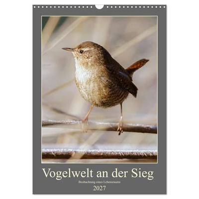 Vogelwelt an der Sieg (Wandkalender 2027 DIN A3 hoch), CALVENDO Monatskalender