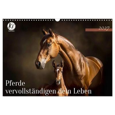 Pferde vervollständigen dein Leben (Wandkalender 2027 DIN A3 quer), CALVENDO Monatskalender