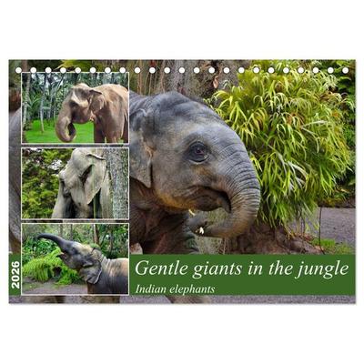 Gentle giants in the jungle (Desk Calendar 2026 DIN A5 landscape), CALVENDO 12 Month DeskCalendar