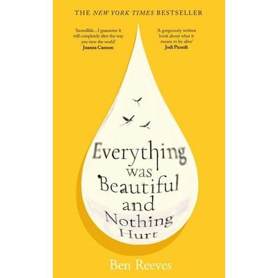 Everything was Beautiful and Nothing Hurt, Taschenbuch von Ben Reeves, Atlantic Books, 978-1-80546-580-5