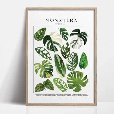 Uplifted Finds Botanical Green Houseplant Canvas Art   Calming Nature Indoors Interior Print 19 40 X 60 Cm