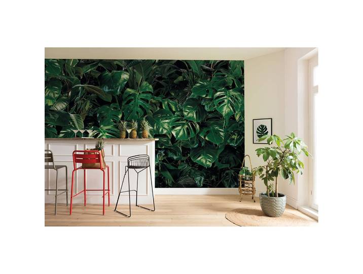 Vlies Fototapete Tropical Wall 400cm