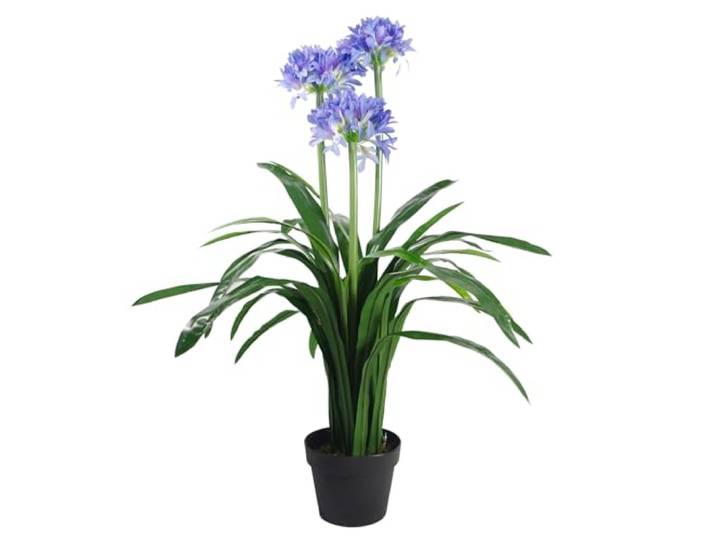 Leaf Künstlicher Agapanthus mit Topf, 90 cm, Blau