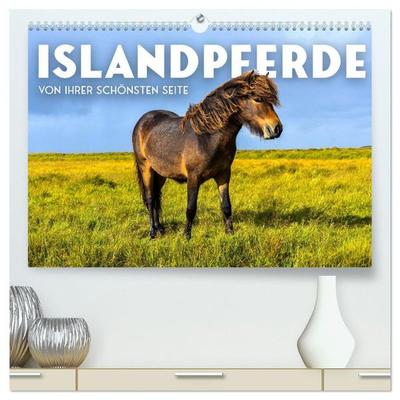 Islandpferde - Von ihrer schönsten Seite (hochwertiger Premium Wandkalender 2027 DIN A2 quer), Kunstdruck in Hochglanz