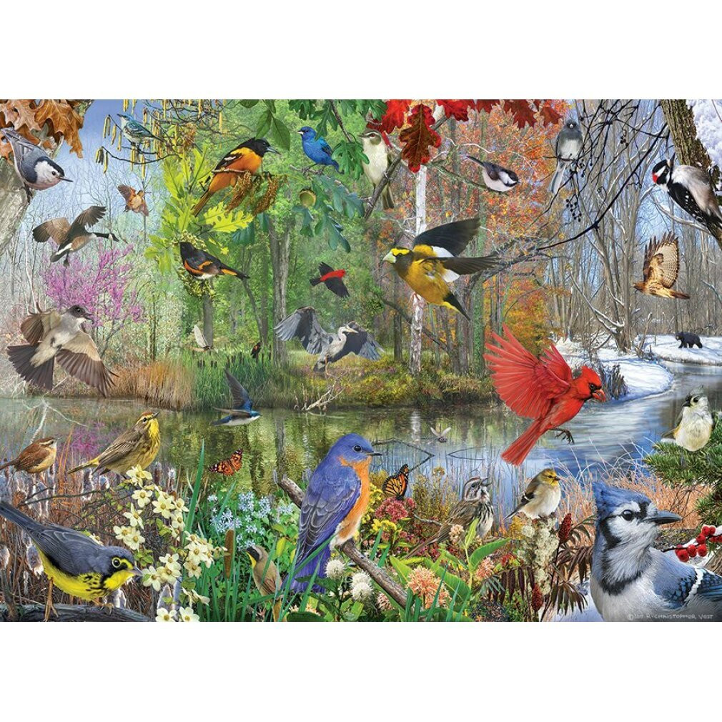Cobble Hill Puzzel Vogels van het seizoen 1000 stuks