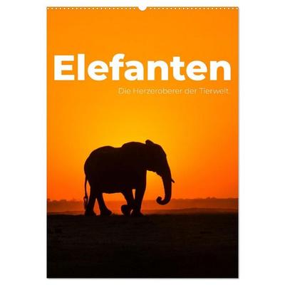 Elefanten - Die Herzeroberer der Tierwelt. (Wandkalender 2027 DIN A2 hoch), CALVENDO Monatskalender