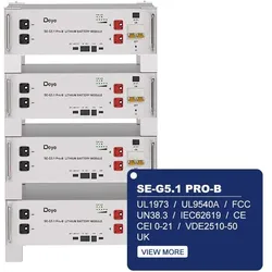 Deye 'Battery SE-G5.1PRO-B'(0% MwSt §12 III UstG)