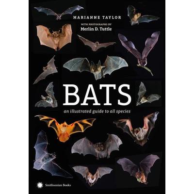 Bats, Gebundene Ausgabe von Marianne Taylor, Smithsonian Books (DC), 978-1-58834-647-6