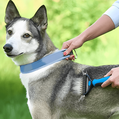 PetsAreLife Pro Grooming Brush Blue