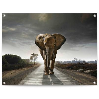 Poster REINDERS "Elefantenkönig", braun (farbe bild(er): braun), B:80cm H:60cm T:0,1cm, Leinwand, Bilder, Poster, Outdoor für Garten oder Balkon