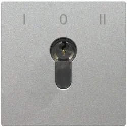 TCS Tür Control Schlüsselschaltermodul AMI10700-0010