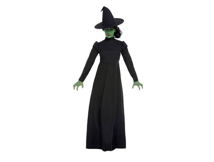 Wicked Witch Costume, Black, with Dress & Hat, (M)