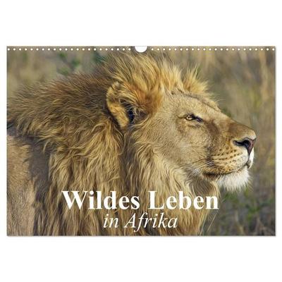 Wildes Leben in Afrika (Wandkalender 2027 DIN A3 quer), CALVENDO Monatskalender