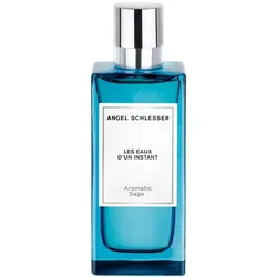 100 ml Angel Schlesser Les Eaux d'un Instant Instinctive Aromatic Sage Eau de Toilette Nat. Spray