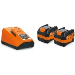 Akku-Starter-Set, Ladegerät ALG 80, 2 Akkus 12V/6Ah