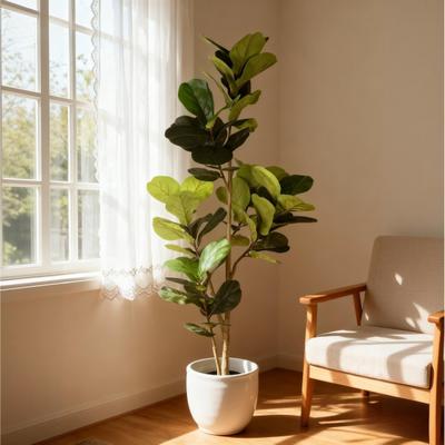 Kodotan sofa 6FT Artificial Fiddle Leaf Fig Tree, Real Touch Fake Indoor Plant for Home Office Living Room, 1pc/set