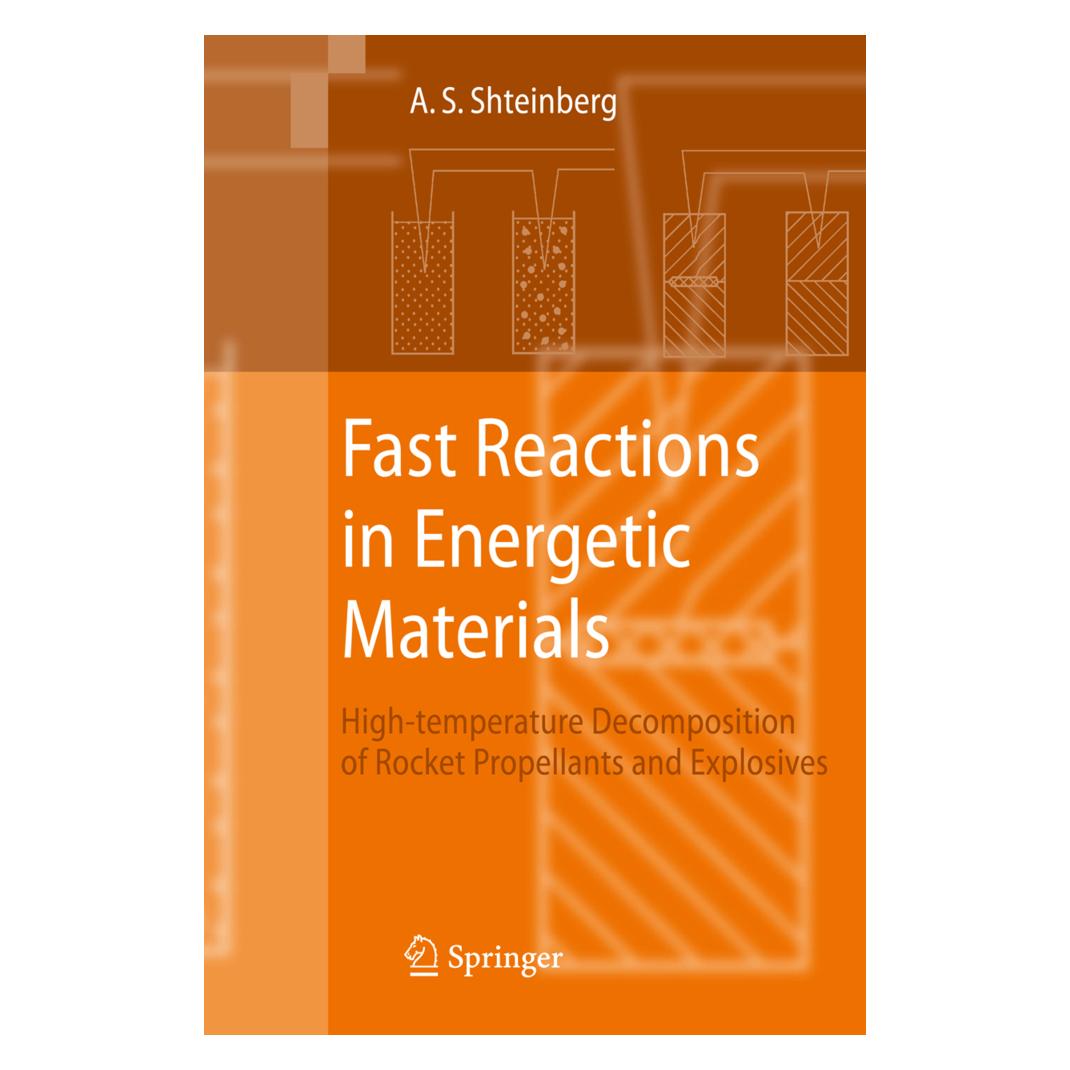 Springer Fast Reactions in Energetic Materials (Englisch, Softcover, Alexander S Shteinberg) (55373009)