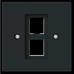Busch-Jaeger Zentralscheibe m. Tragring Modular-Jack 2561-02-45M