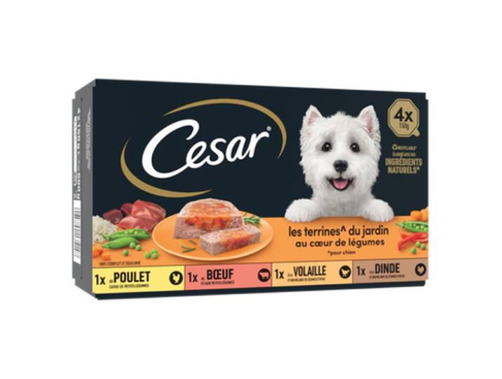 CESAR ALIMENT CHIEN TERRINE LES INSPIRATIONS DU JARDIN COEUR LEGUME4 BARQ 150 GR