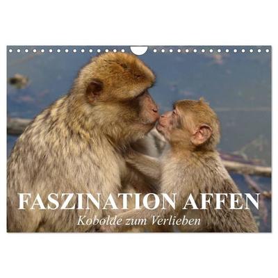 Faszination Affen. Kobolde zum Verlieben (Wandkalender 2027 DIN A4 quer), CALVENDO Monatskalender