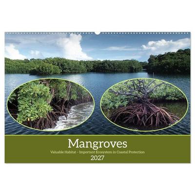 Mangroves - Valuable Habitat (Wall Calendar 2027 DIN A2 landscape), CALVENDO 12 Month Wall Calendar