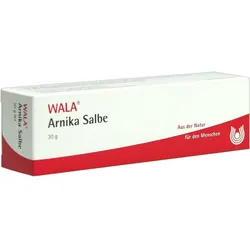 Arnika-Salbe 30 G