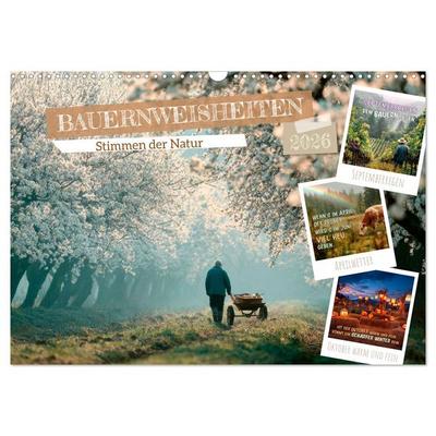 Bauernweisheiten - Stimmen der Natur (Wandkalender 2026 DIN A3 quer), CALVENDO Monatskalender