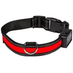 Num'axes Num#39axes Leuchtendes Halsband rot - Grösse M (M, Hund), Halsband + Leine
