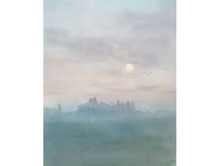 Fotobehang - Hazy Hush 200x250cm - Vliesbehang