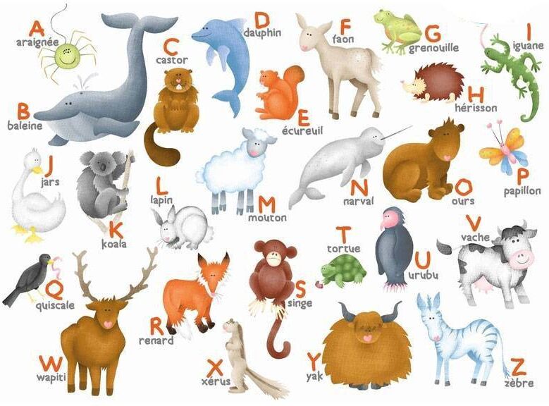 Puzzle Michèle Wilson Puzzle en bois L'Alphabet des Animaux - 12 Pièces Boite Kraft