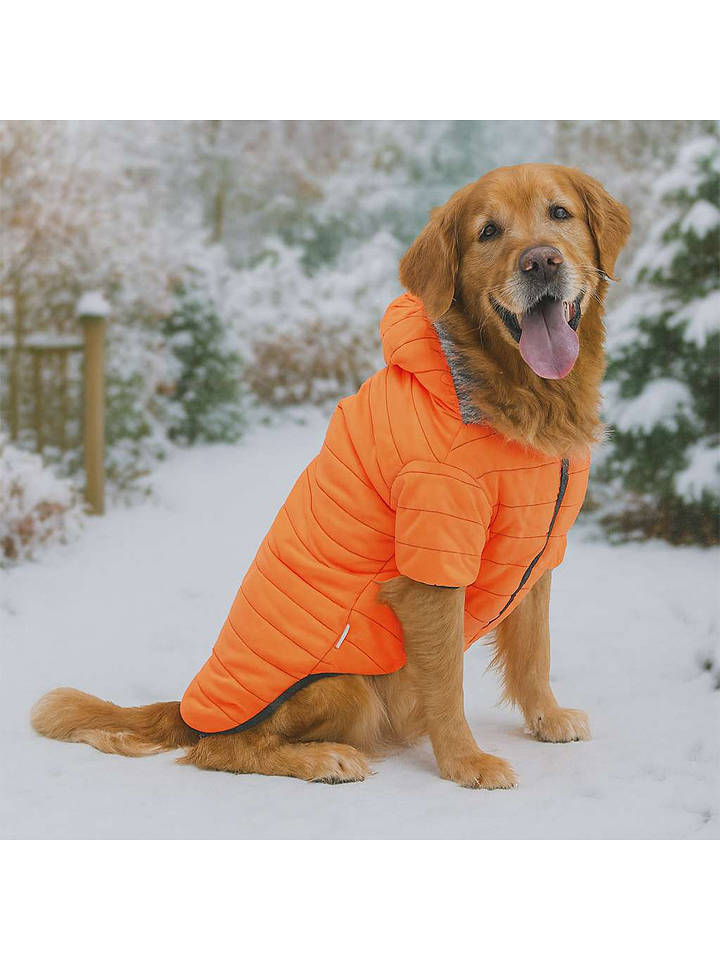 Paws&Whiskers Hundehoodie in Orange - 9XL