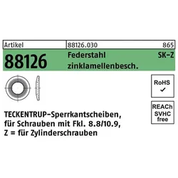 Teckentrup, Muttern + Unterlegscheiben, Sperrkantscheibe R 88126 Z 12x18,3x1,8 Federstahl zinklamellenbeschichtet