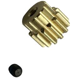 Reely RE-9043674 Ersatzteil Motorritzel 14 Zähne