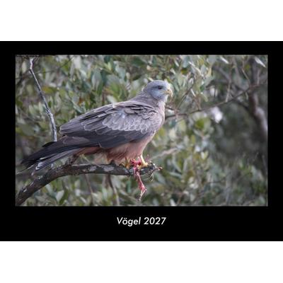 Vögel 2027 Fotokalender DIN A3