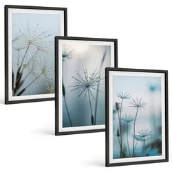 BILDER SET 3er Set - 40x60 cm Schwarzer Rahmen - Löwenzahn mit Wassertropfen