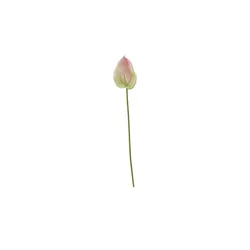Kunstblume Anthurium   , rosa/pink , Kunststoff , Maße (cm): H: 78