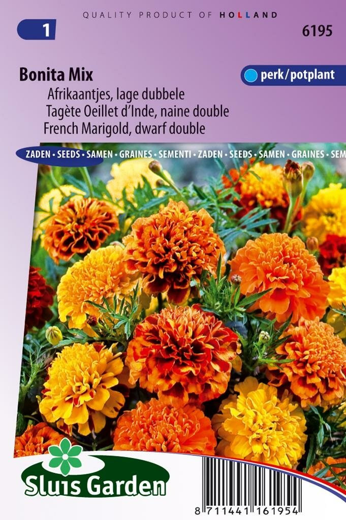 Sluis Garden Tagetes Patula zaden Bonita mix afrikaan