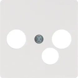 Berker 14391909 Zentralplatte für Breitband-Moddemdo pw